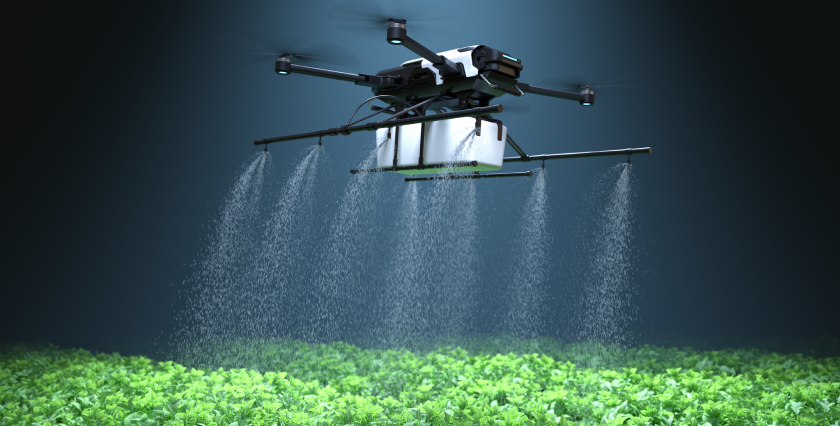 Lighting & Irrigation Design